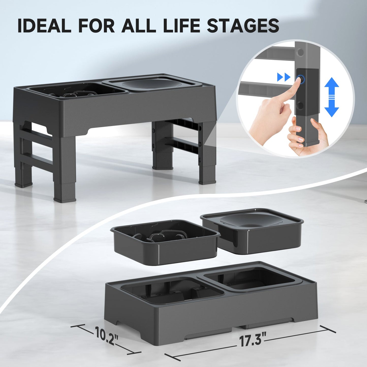 2-in-1 Elevated Raised Dog Bowl