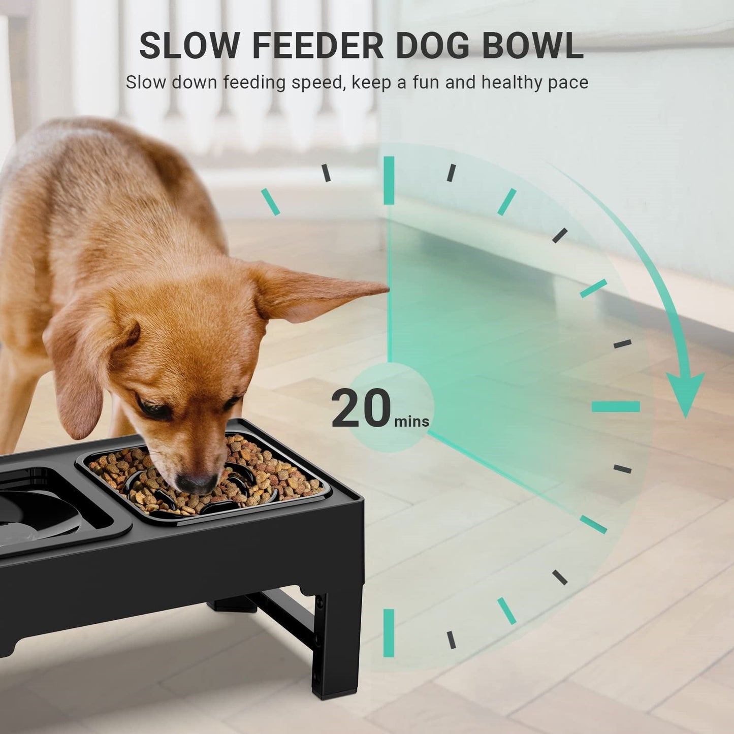 2-in-1 Elevated Raised Dog Bowl